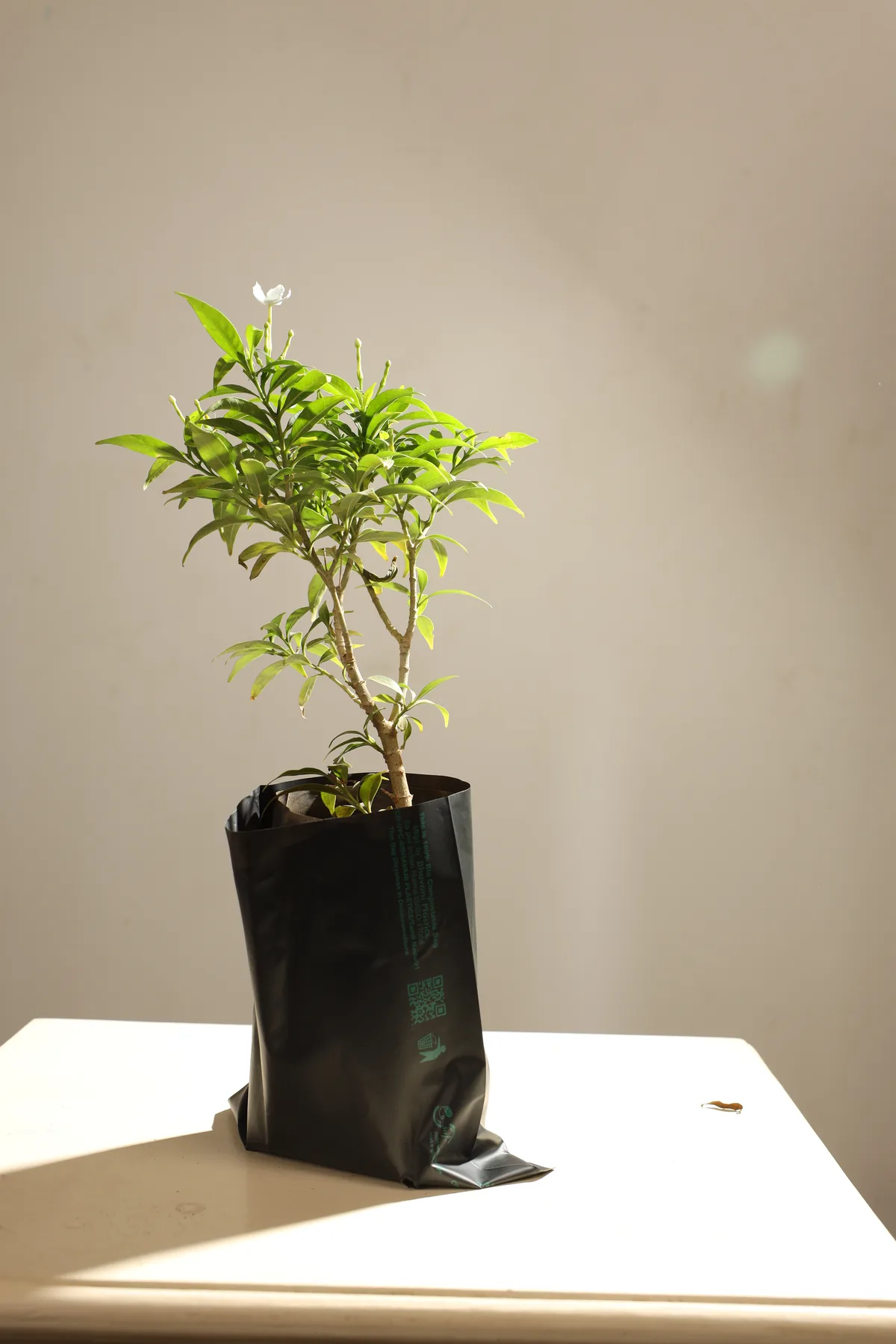 EnSafe plant and nursery bags